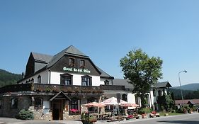 Hotel Lesní dům